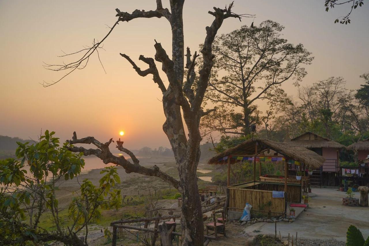 Bamby Chilling House - Feel The Nature Sauraha Exteriér fotografie