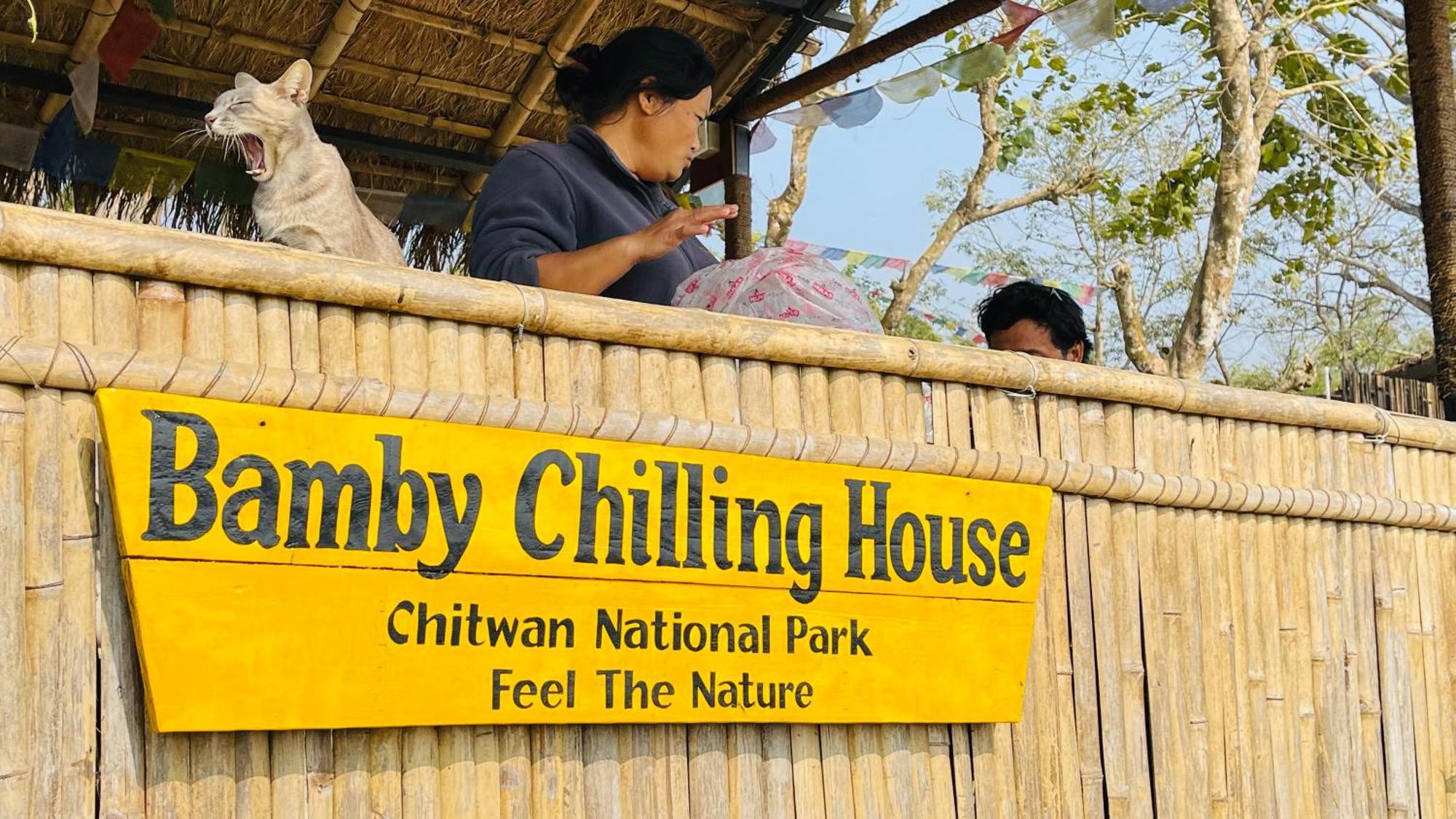 Bamby Chilling House - Feel The Nature Sauraha Exteriér fotografie