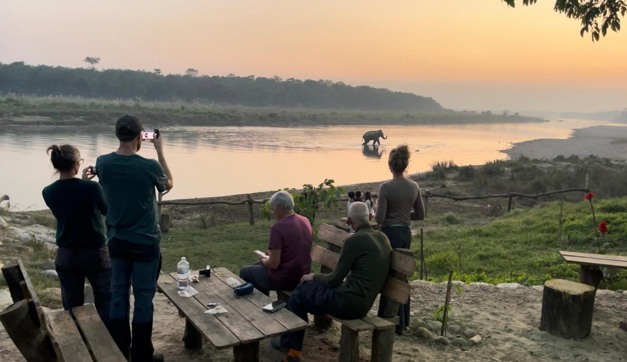 Bamby Chilling House - Feel The Nature Sauraha Exteriér fotografie