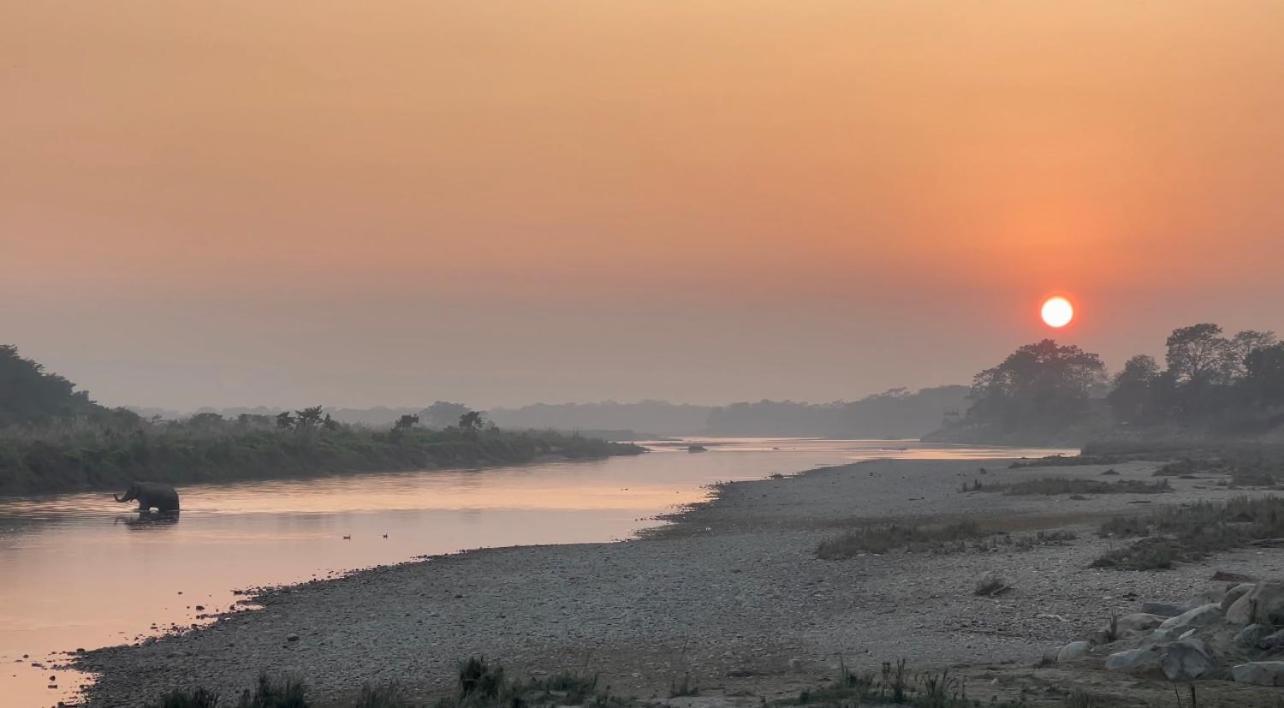 Bamby Chilling House - Feel The Nature Sauraha Exteriér fotografie