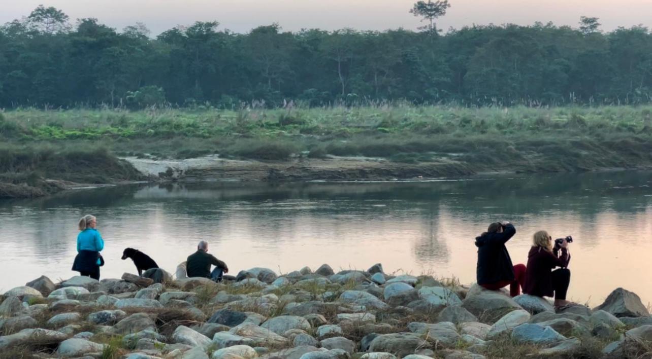 Bamby Chilling House - Feel The Nature Sauraha Exteriér fotografie
