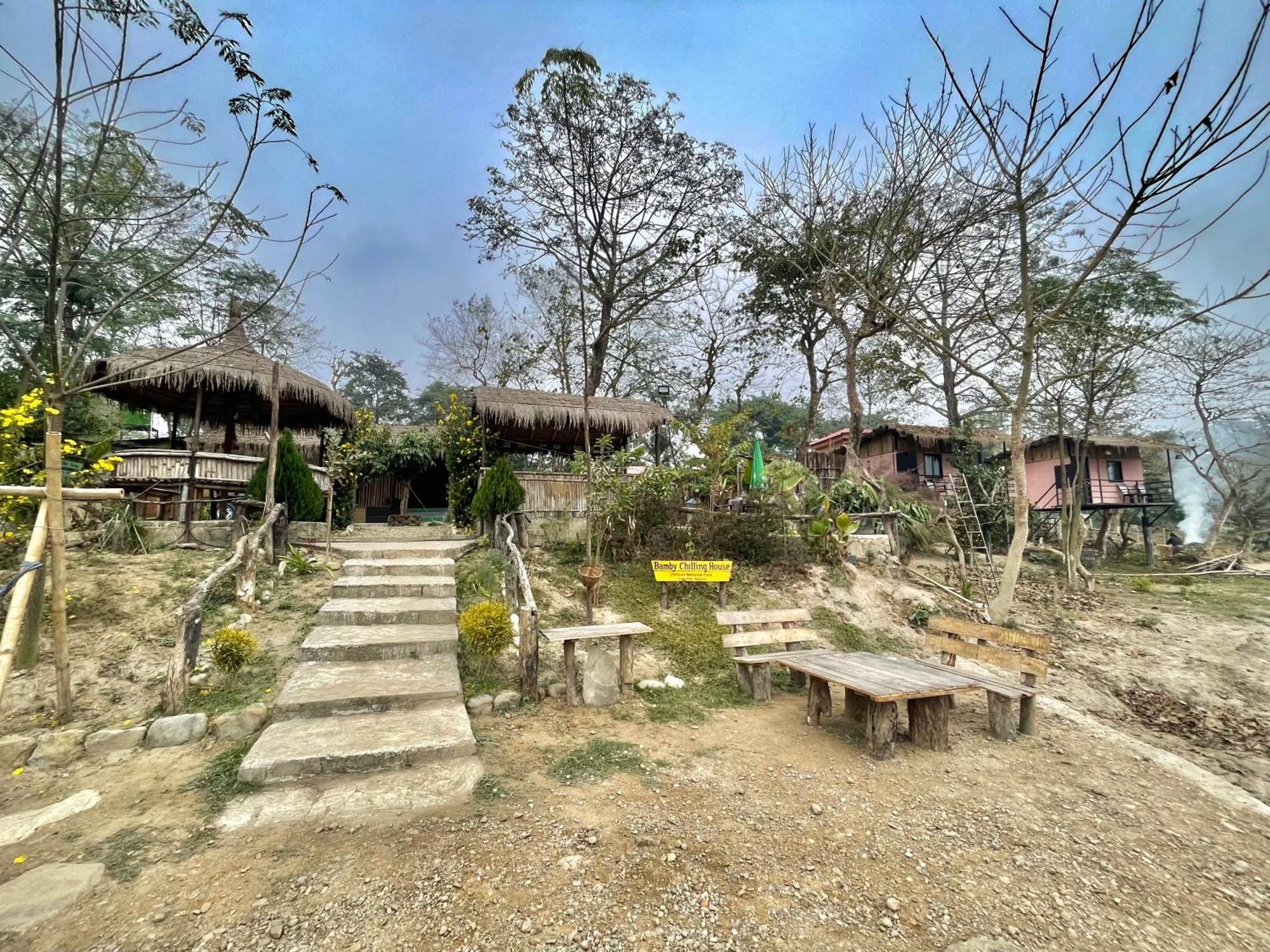 Bamby Chilling House - Feel The Nature Sauraha Exteriér fotografie