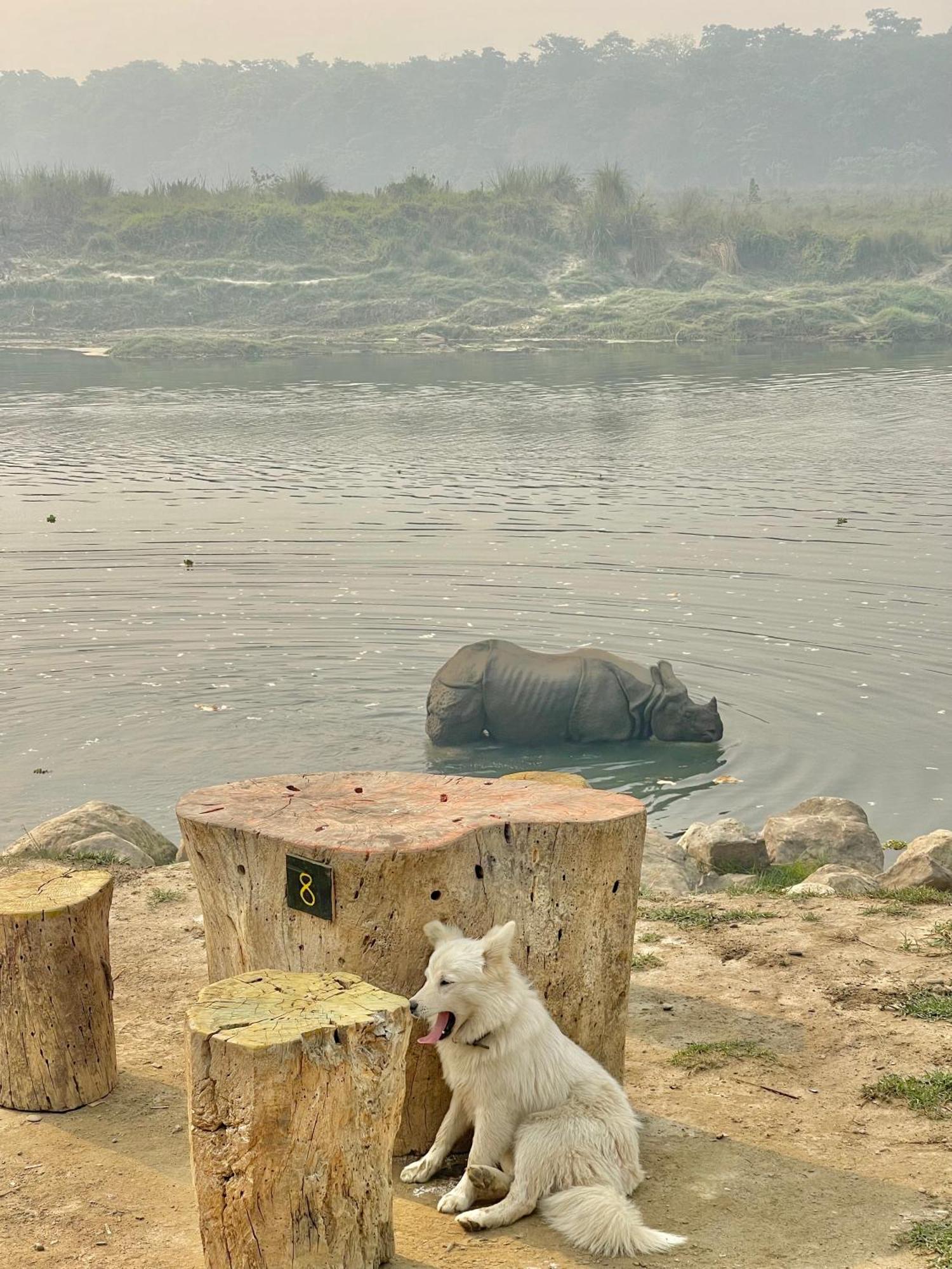 Bamby Chilling House - Feel The Nature Sauraha Exteriér fotografie