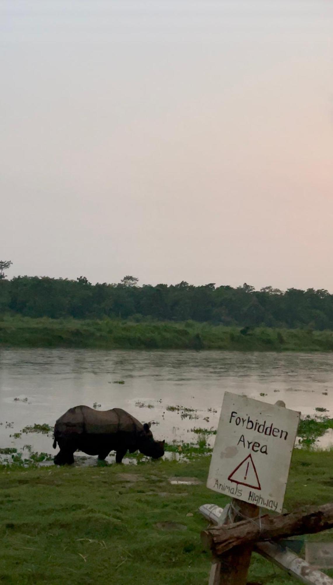 Bamby Chilling House - Feel The Nature Sauraha Exteriér fotografie