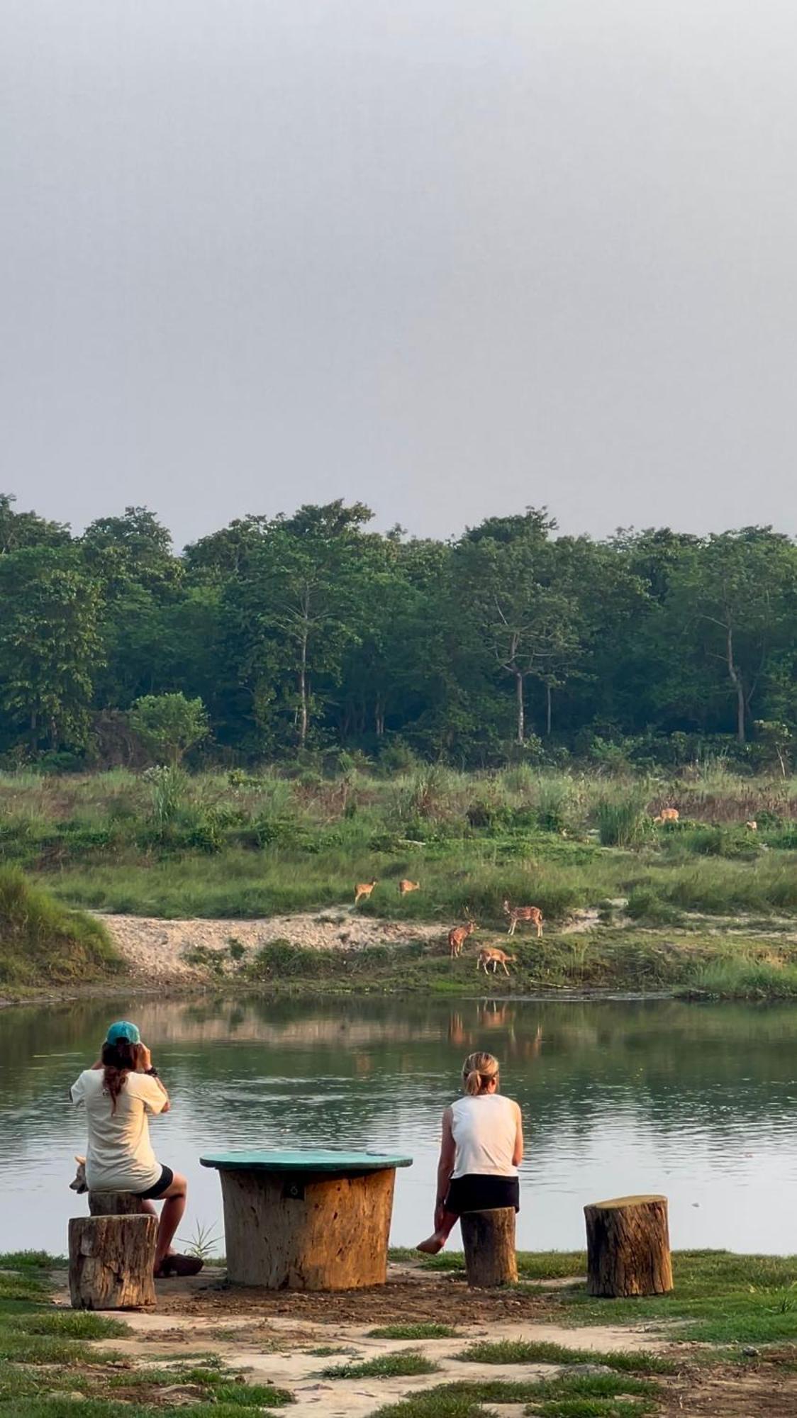 Bamby Chilling House - Feel The Nature Sauraha Exteriér fotografie